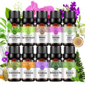 10-Pack 10ml Essential Oils Set