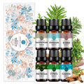 6-Pack 10ml Woody Essential Oils Set: Cinnamon, Sandalwood, Myrrh, Pine Needles, Cypress, Camphor