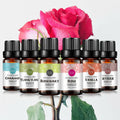 6-Pack 10ml Essential Oil Set: Rosemary,Rose,Ylang-ylang,Cinnamon,Vanilla, Myrrh