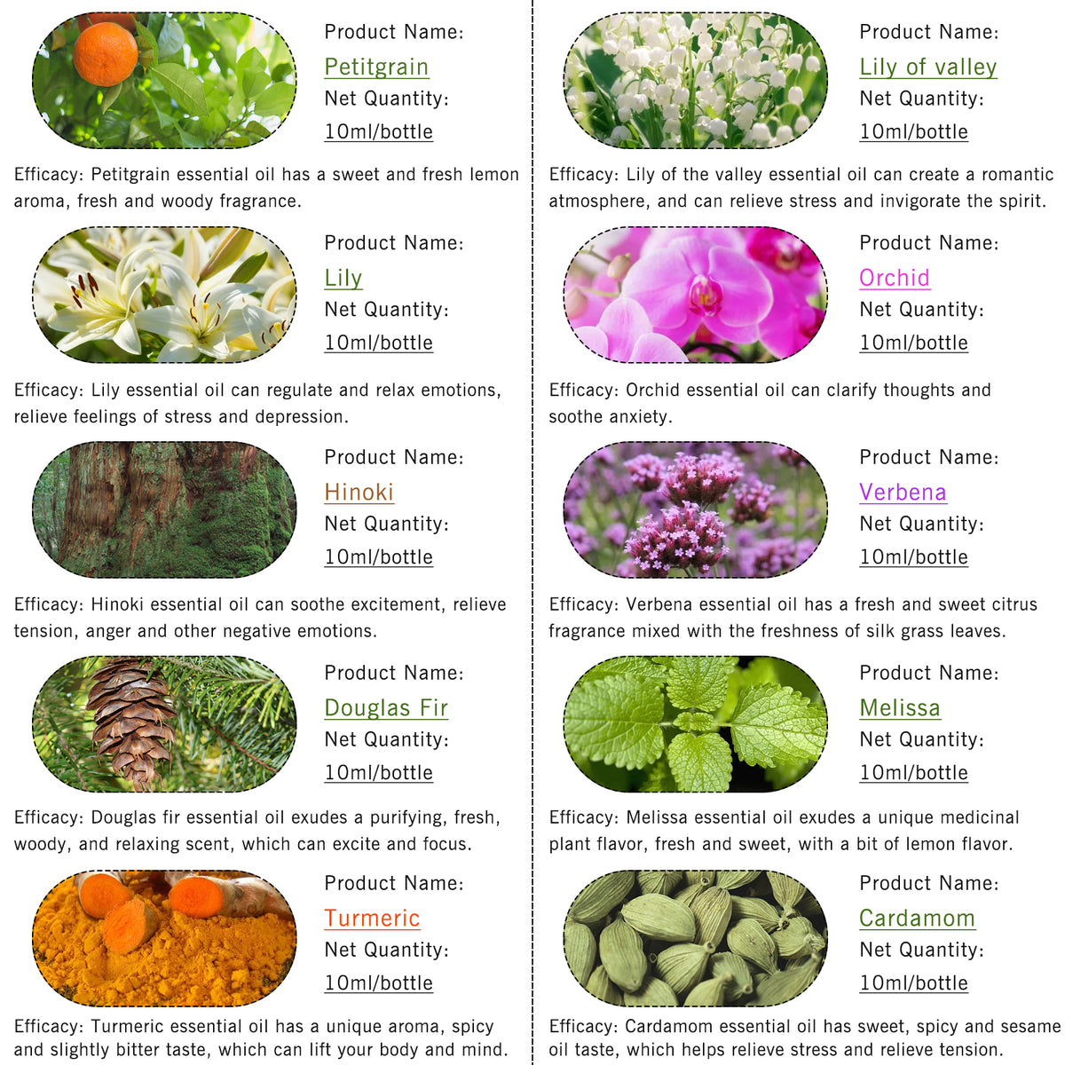 10-Pack 10ml Essential Oils Set