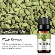 2-Pack 10ml Cardamom Essential Oil