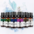 6-Pack 10ml Essential Oils Set: Pine,Ginger,Black Pepper,Pine Needles,Juniper,Thyme