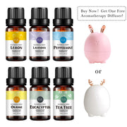 Rainbow Abby Essential Oils Juego de regalo Top 6 Aceites esenciales puros para difusor, humidificador, masaje, aromaterapia, cuidado de la piel y el cabello