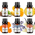 6-Pack 10ml Essential Oils Set (Coconut, Mango, Pineapple, Vanilla, Clary Sage, Calendula)