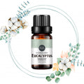 10ml Eucalyptus Essential Oil
