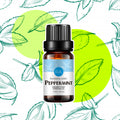 Aceite esencial de menta - Aceite de menta 100% puro de aromaterapia