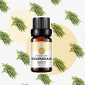 Aceite esencial de limoncillo 10 ml - Lo mejor para aromaterapia - Ambientadores de ambiente - Aceite de limoncillo