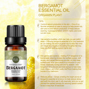 10ml Bergamot Essential Oil