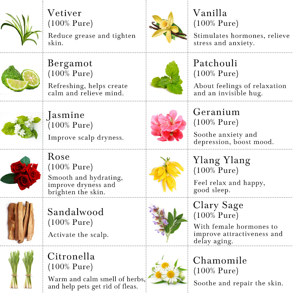 Top 12-Pack 10ml Essential Oils Set (Rose,Vanilla,Sandalwood,Clary Sage,Patchouli,Geranium,Jasmine,Chamomile,Bergamot,Ylang-Ylang,Lemongrass,Vetiver)