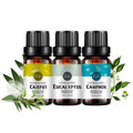 3-Pack 10ml Camphoraceous Essential Oils-Stimulating,Refreshing,Focus-enhancing