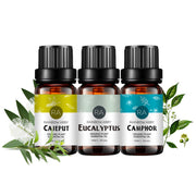 3-Pack 10ml Camphoraceous Essential Oils-Stimulating,Refreshing,Focus-enhancing