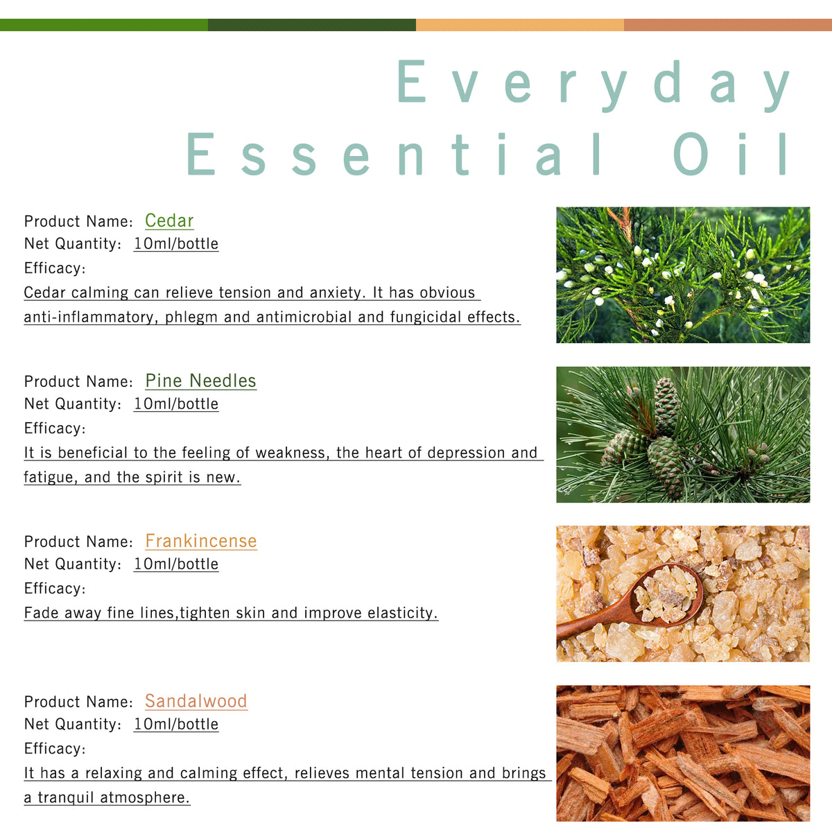 4-Pack 10ml Woodsy Essential Oils Set : Frankincense, Pine Needles, Cedarwood, Sandalwood