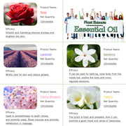 5-Pack 10ml Floral Essential Oils Set : Rose, Lavender, Cherry Blossom, Gardenia, Freesia