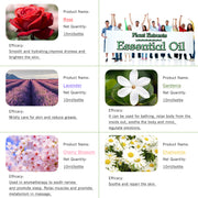 5-Pack 10ml Floral Essential Oils Set : Lavender, Rose, Cherry Blossom, Chamomile, Gardenia