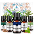 5-Pack 10ml Woody Essential Oils Set: Sandalwood, Cedarwood, Juniper Berry, Frankincense, Patchouli