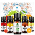 5-Pack 10ml Citrus Essential Oils Set : Lemon, Grapefruit, Lime,Tangerine and Sweet Orange