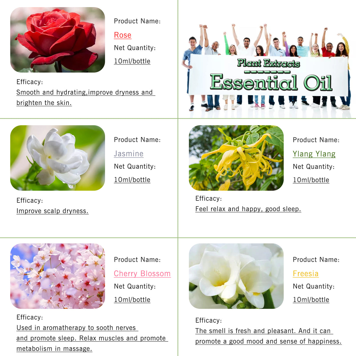 5-Pack 10ml Floral Essential Oils Set: Rose, Jasmine, Ylang ylang, Cherry Blossom, Freesia