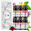 6-Pack 10ml Essential Oils Set : Lavender, Rose, Jasmine, Ylang-Ylang, Cherry Blossom, Clove