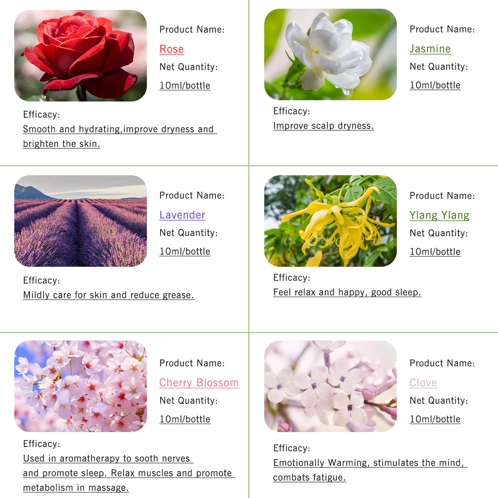 6-Pack 10ml Essential Oils Set : Lavender, Rose, Jasmine, Ylang-Ylang, Cherry Blossom, Clove