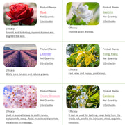 6-Pack 10ml Floral Essential Oils Gift Set: Lavender, YlangYlang, Rose, Jasmine, Cherry Blossom, Gardenia